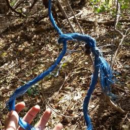 Most snares are made from wire but rope and cable are also used. ©Cape Leopard Trust.